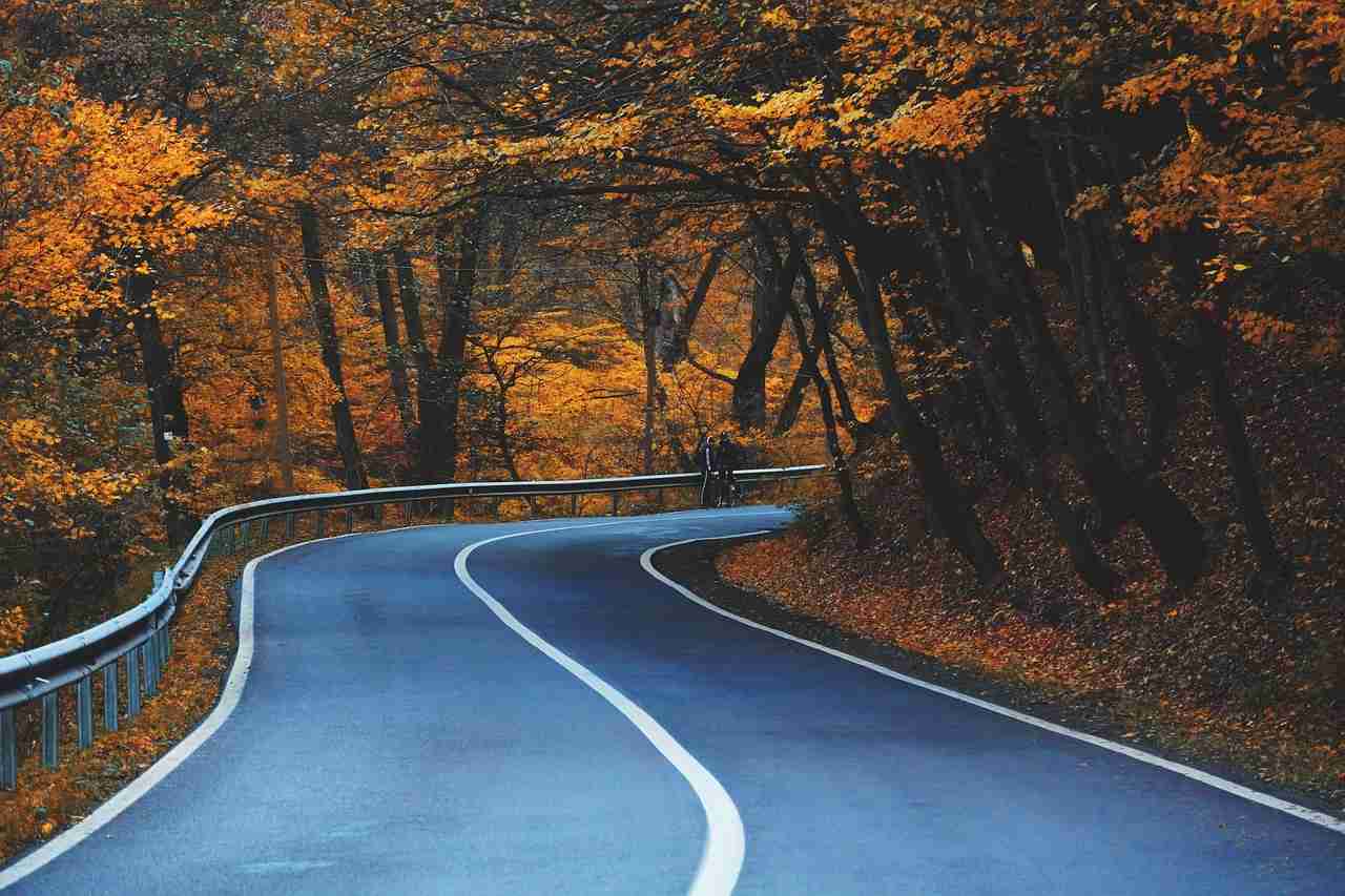 une route qui ferme a un coin, entouree de foret avec trois lignes blanches et la chaussee est de colour bleu ciel.